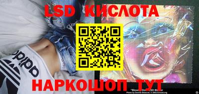 шишки Белореченск