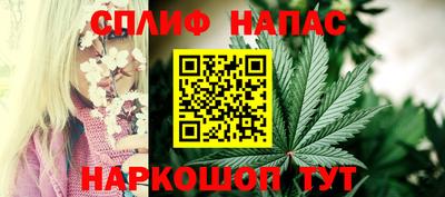 шишки Белореченск
