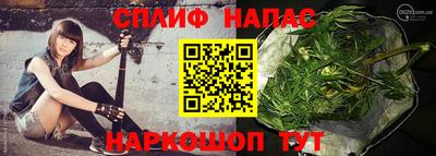 шишки Белореченск